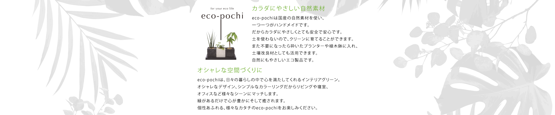 カテゴリーイメージ